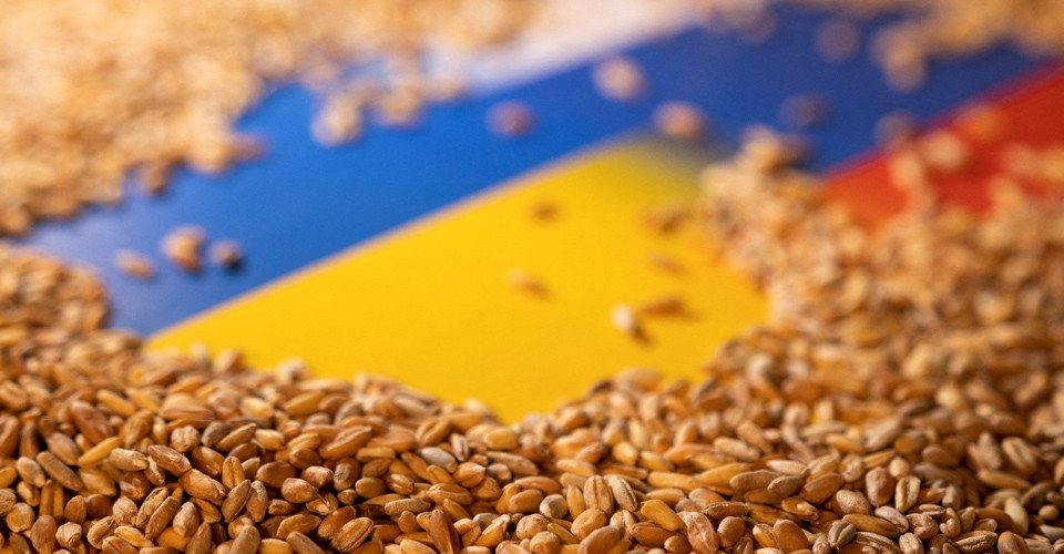 ТОП-10 світових покупців української пшениці — аналіз